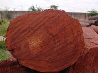 Red Sandalwood Logs for Aromatherapy, Woodworking, Incense, Skincare
