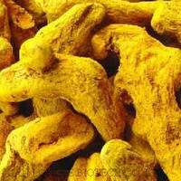 Turmeric Extract