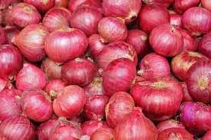 Fresh red onion For Food