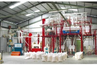 5-500t/d Wheat Corn Rice Flour Milling Machine