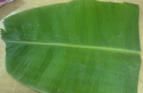 Fresh Banana Leaves