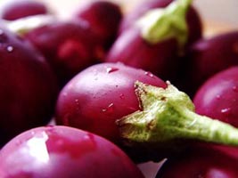 Fresh Brinjals