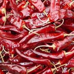 Dried Red Chilli