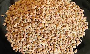 Fenugreek Seeds