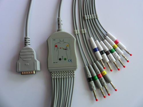 ECG Cables With Leads