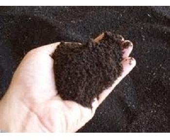 Tanay Vermicompost