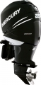 Mercury Outboard Motor