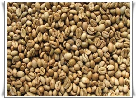 Coffee beans, Packaging Size : 10 To 20kg 20 To 40kg 40 To 60 Kg