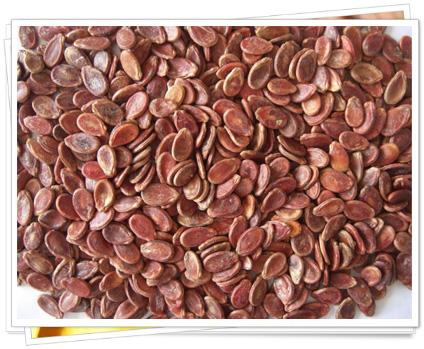 Water Melon Seeds