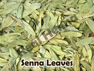 Senna Leaves