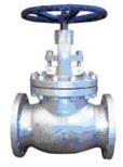 Globe Valve