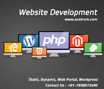 Website Development Services