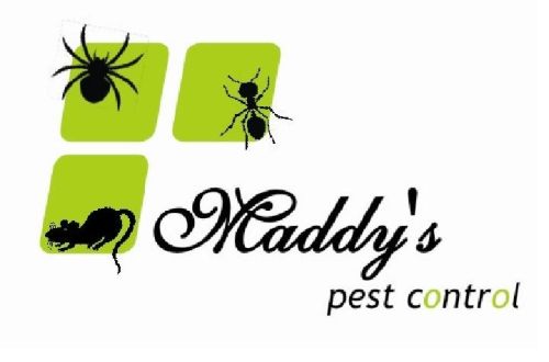 Disinfestation Treatment Service