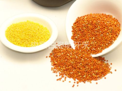 Red Broom Corn Millet, Brand Name : TMQH