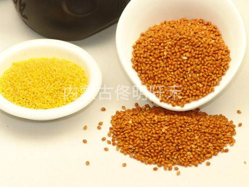 White Broomcorn Millet, Black Broomcorn, Red Broomcorn