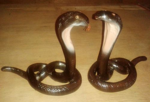 Polished Teak Wooden Snake Statue, For Home, Feature : Easy To Place, Termite Proof