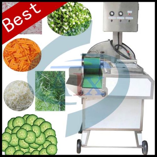 Automatic Fruit Dicing Cutter Machine, Automatic Vegetable Dicing Cutter Machine