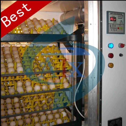 Steel plate Chicken Egg Incubator, Brand Name : AIX