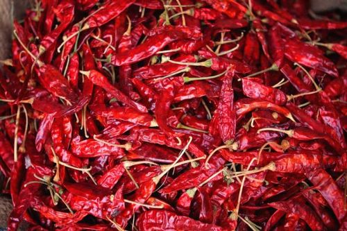 Dried Red Chilli