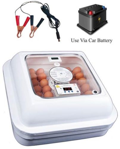 Automatic Egg Incubator