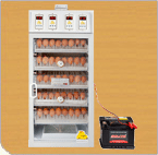 Egg Incubator, Brand Name : cocksmachine