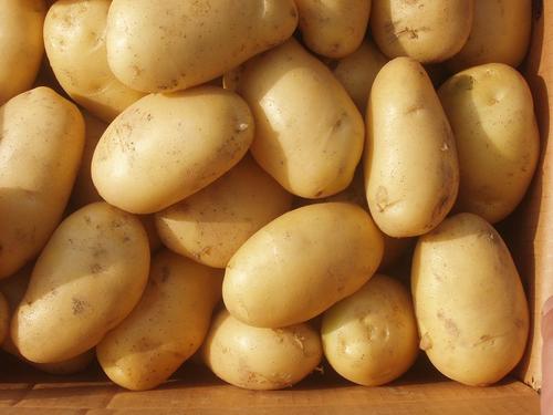 Potato, Usage/Application : Cooking, Baking, Frying, Boiling