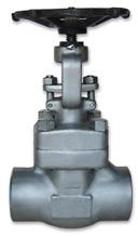 Forge Globe Valve