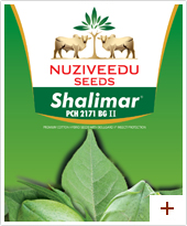 Nuziveeduseeds Cotton Seed