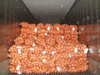 Fresh Onion, Red Onion, Yellow Onion, African Onion