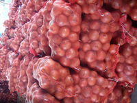 Red Onion, Garlic, Pepper