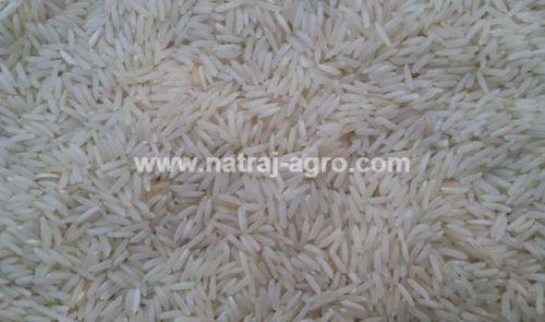 1509 Pusa Basmati Raw Rice