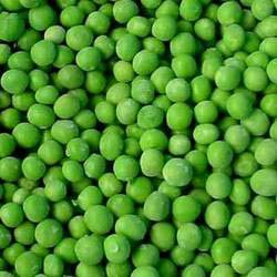 Fresh Green Peas, Shelf Life : 10 Days