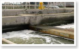 Sewage Treatment Plant