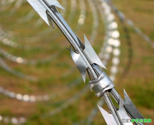 Galvanized Twisted Fence Wire, Galvanized Bared Wire, Galvanized Razor Wire