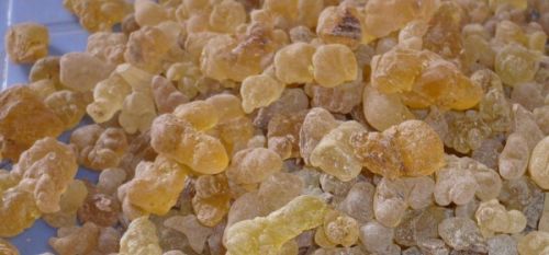 Gum Olibanum, Packaging Type : Creamish, Light Yellow