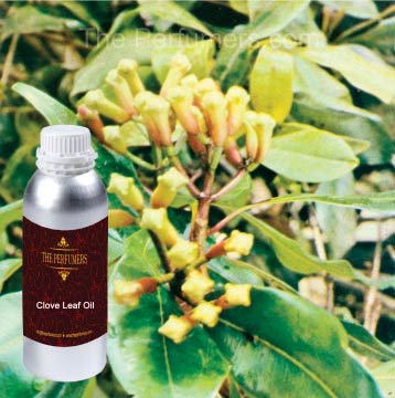 Clove Leaf Oil