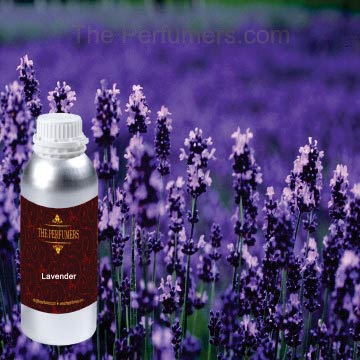 Lavender Essential Oil