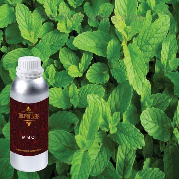 Mint Oil