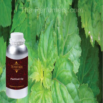 Patchouli Oil, Shelf Life : 2years