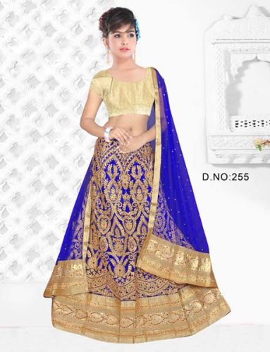 D. No : 255 Embroidery Lehenga Choli