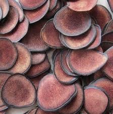 Natural Deer Velvet Antler Extract