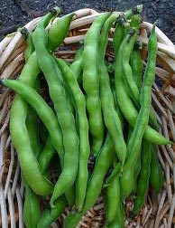 Fresh Cluster Beans