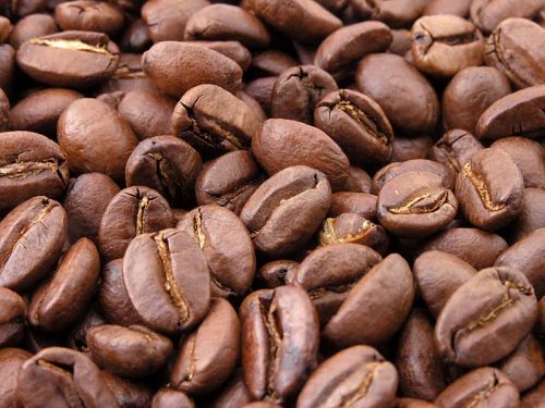 Coffee beans, Shelf Life : 1 Year
