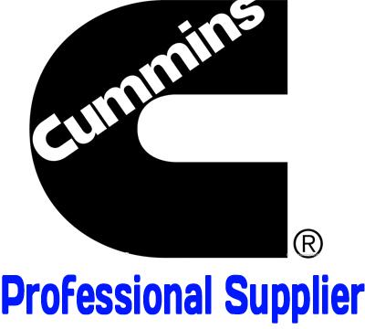 Cummins Distributor NT/NH855, KTA19, KTA38, KTA50, M11, ISX, ISF, ISM, B, C, ISLe, ISDe, ISBe, L