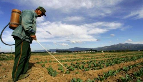 Herbal Pesticide