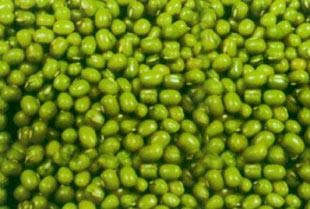Green mung beans
