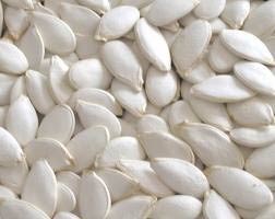 Snow White Pumpkin Seeds