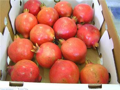 Fresh Pomegranates