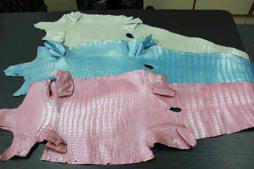 Natural Raw Alligator Leather
