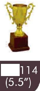 114 05-5 Inches Trophy, Feature : Durable